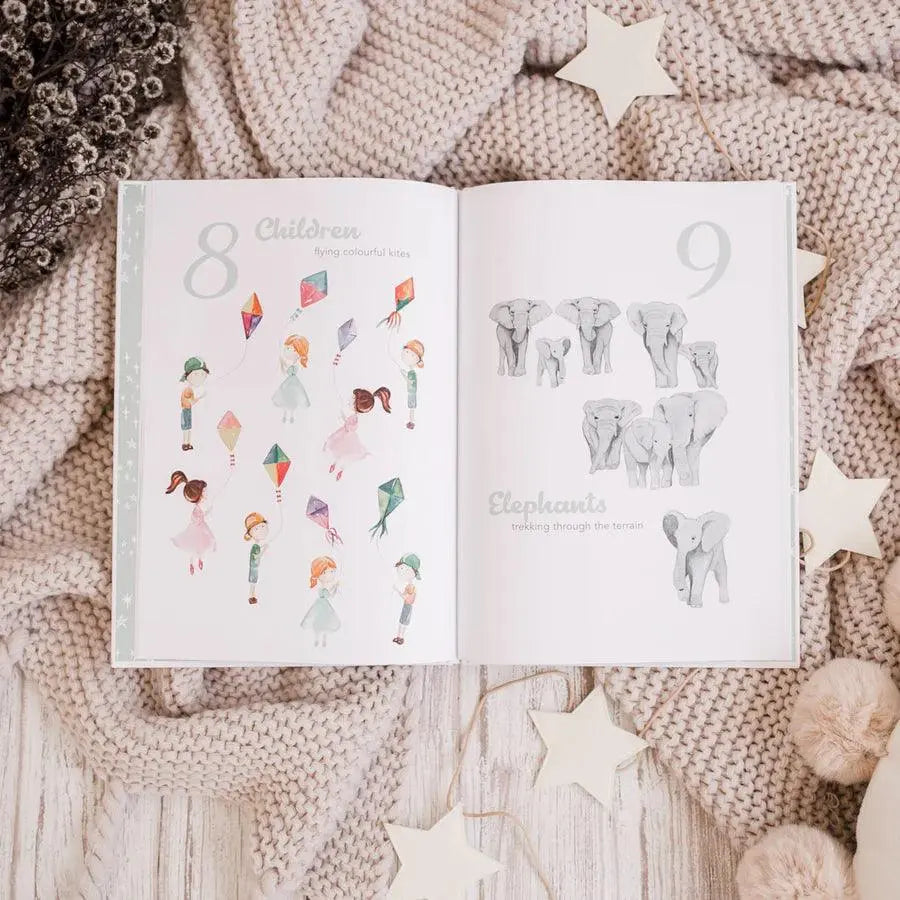 Adored Illustrations - The Amazing 123 - Birds & Bees baby boutique