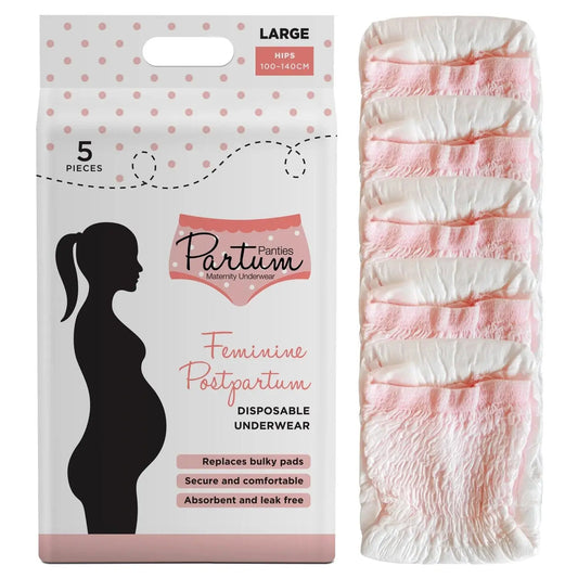 POSTPARTUM DISPOSABLE UNDERWEAR Large - Birds & Bees baby boutique